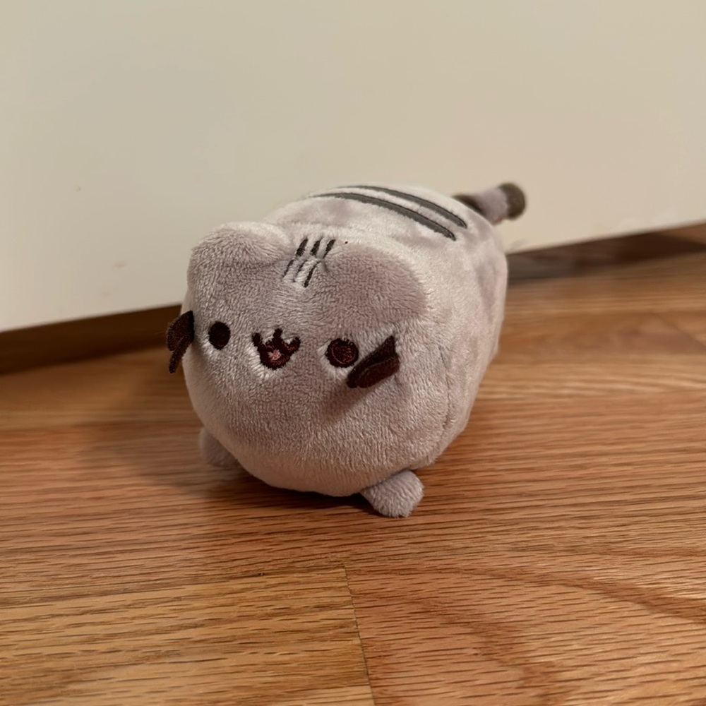 Pusheen screen cleaner!!